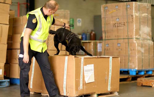 Examinations at the Melbourne Container Examination Facility